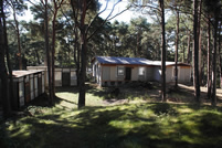 Die alten H&uuml;tten